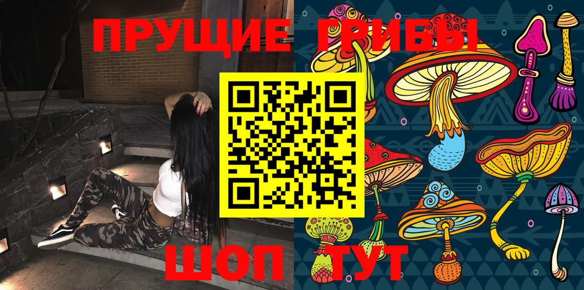 Псилоцибиновые грибы Psilocybe Кирово-Чепецк