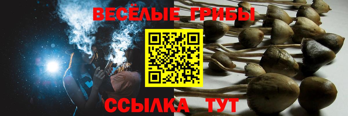 Псилоцибиновые грибы ЛСД  Вход с VPN  как найти закладки  Кирово-Чепецк 